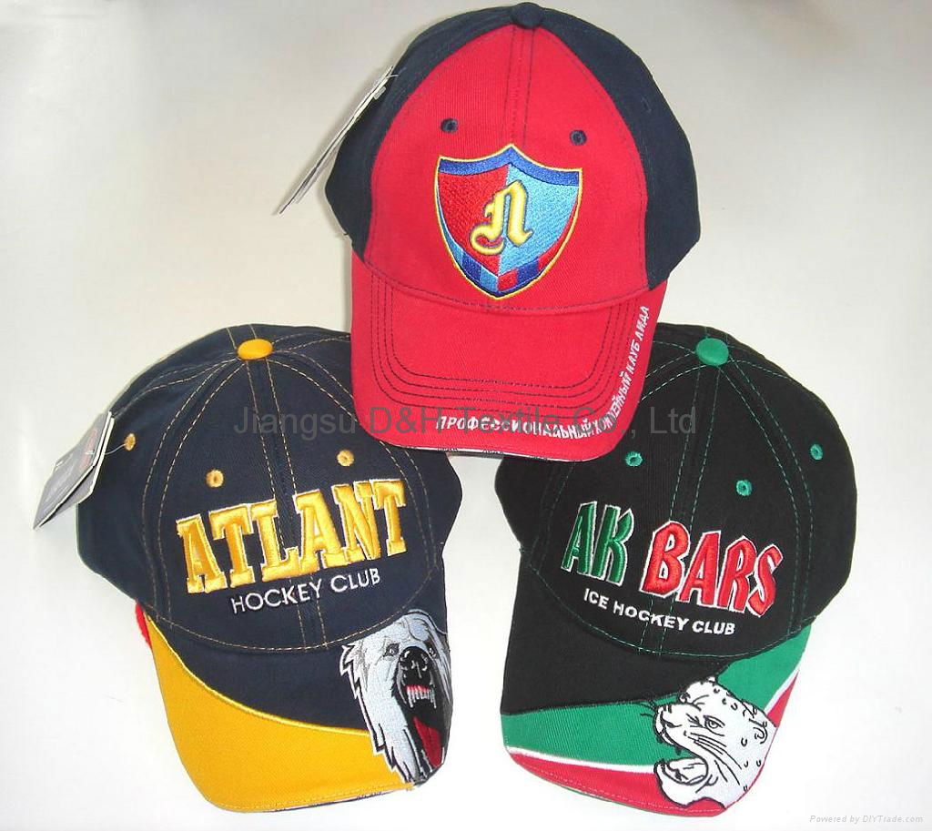 Fashional 100% Cotton Embroidery Cotton Baseball/Sports Cap 