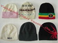 Promotional Beanie/Winter hat/Knitted Hat 