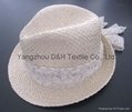 Paper Straw/Sun Hat/Summer Hat (DH-LH9127) 1