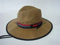  Fashion Design Langya straw hat / Cowboy Hats /Sunhat 3