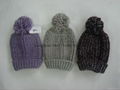 Winter Hat/Crochet Hats