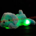 Creative Night Light LED Stuffed Animals Dog Glow Plush Toys Gifts for Kid 5