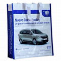 PP Non Woven Laminated Advertising Bags 4