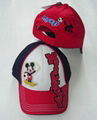 Baseball Cap with PVC Logo