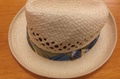 Paper Straw/Sun Hat/Summer Hat (DH-LH9127) 2