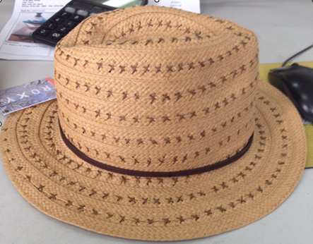 Paper Straw/Sun Hat/Summer Hat (DH-LH9127) 3