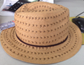 Paper Straw/Sun Hat/Summer Hat (DH-LH9127)