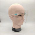 Fashion Protective Isolation Mask Face Glass Shield 