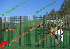 Fiberglass fence
