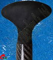 Carbon paddle with ABS Edge   
