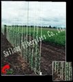 Fiberglass plant &  tree stakes