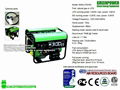 60Hz 1200W - 9000W GreenPower LPG, NG natural gas generator set 2