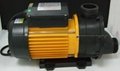 TDA200 220v 60HZ with 1.5KW/2.0HP hot tub pump & spa pump & Bathtub pump