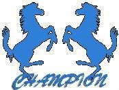 Champion Sanitary Ware Co.,Ltd,