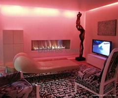 Intelligent bioethanol BB fireplaces 