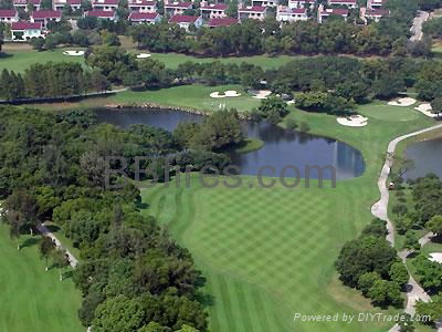 Xiangmihu golf Club Futian, Shenzhen fireplace 