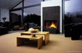 Intelligent low heat Bio Ethanol fireplace 