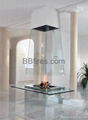 Intelligent bioethanol BB fireplaces 