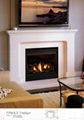 High Grade Marble Fireplace Set (Mantels)  15