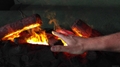 3D Electric  fireplace QS for export
