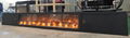 BB Electric insert Golden fireplace  13