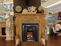 TH Copper Series fireplace heater