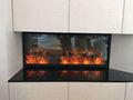 WS Wall Mounted and Inert 2 types fireplace 