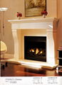 combination of fireplace (Mantel+heater)