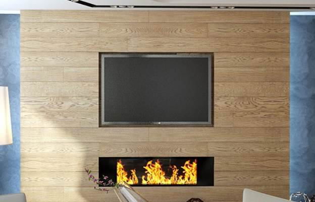 Hearth Insert Bio fireplace 2