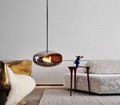 Intelligent Ethanol hanging Fireplaces  9