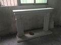 Wooden fireplace (mantel and heater)TH 19