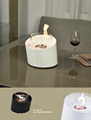 Stock wall mounted Bio Ethanol fireplace  4