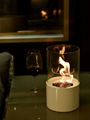 Stock wall mounted Bio Ethanol fireplace  5