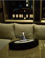 Stock table Top Series real fire Bio Ethanol fireplace  4
