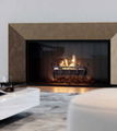 Hearth Insert Bio fireplace