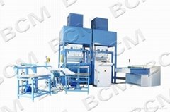 automatic pillow filling machine (two weighing system)