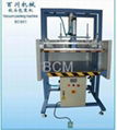 vacuum pillow  packing machine