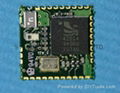 Bluetooth Module