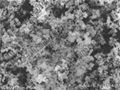 Copper Nanoparticle -50 2