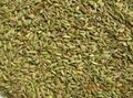 Sell Fennel Seeds 