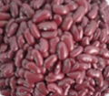 Red Kidney Beans 1