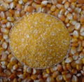 corn grain small pieces 1