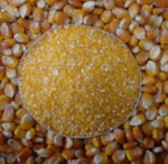 corn grain small pieces