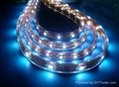 SMD 5050 300 LED Waterproof - Glue Covered with half silicon tube DC12V