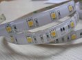SMD 5050 150 LED WhitePCB Waterproof - Glue Covered with half silicon tube,DC12V