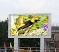 Outdoor Full Color LED Display （P25）