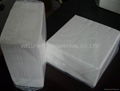 Luncheon Napkins 1/4 Fold/white napkin