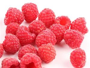 哈瑞太兹秋果型双季树莓