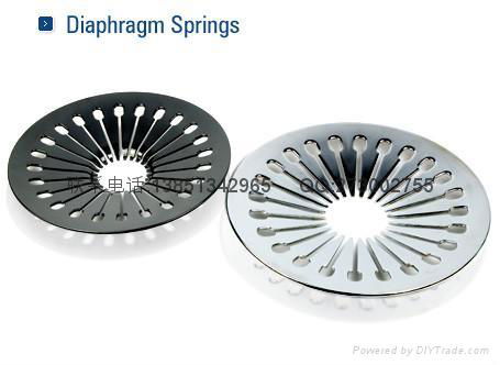 diaphragm spring 3