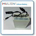 lithium battery for Smart Garden LED Lamp with solar LiFe 12.8V3Ah